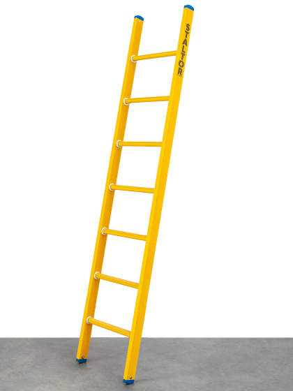 Kunststof enkele ladder 10 sporten