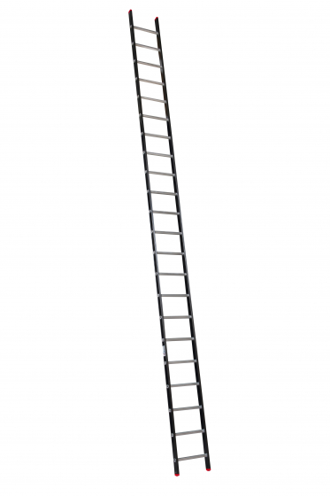 ALPINE Enkele ladder met ladderhaken 1x22
