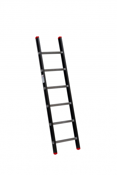 ALPINE Enkele ladder met ladderhaken 1x6