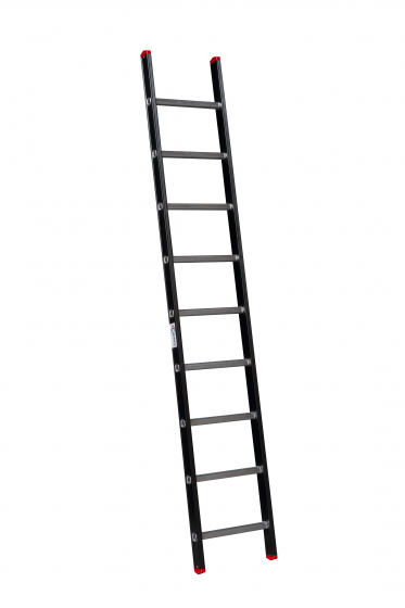 ALPINE Enkele ladder met ladderhaken 1x9
