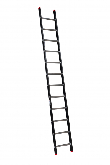 ALPINE Enkele ladder met ladderhaken 1x12