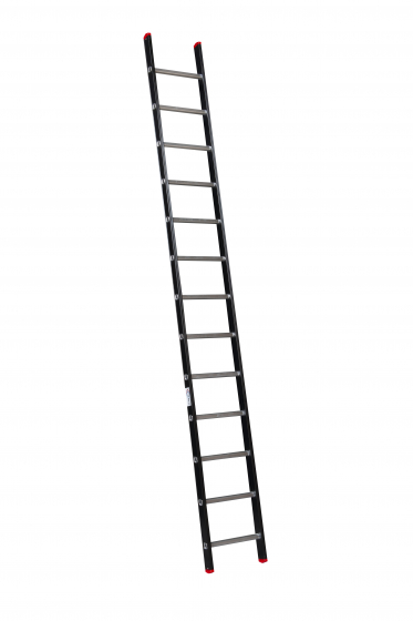 ALPINE Enkele ladder met ladderhaken 1x13